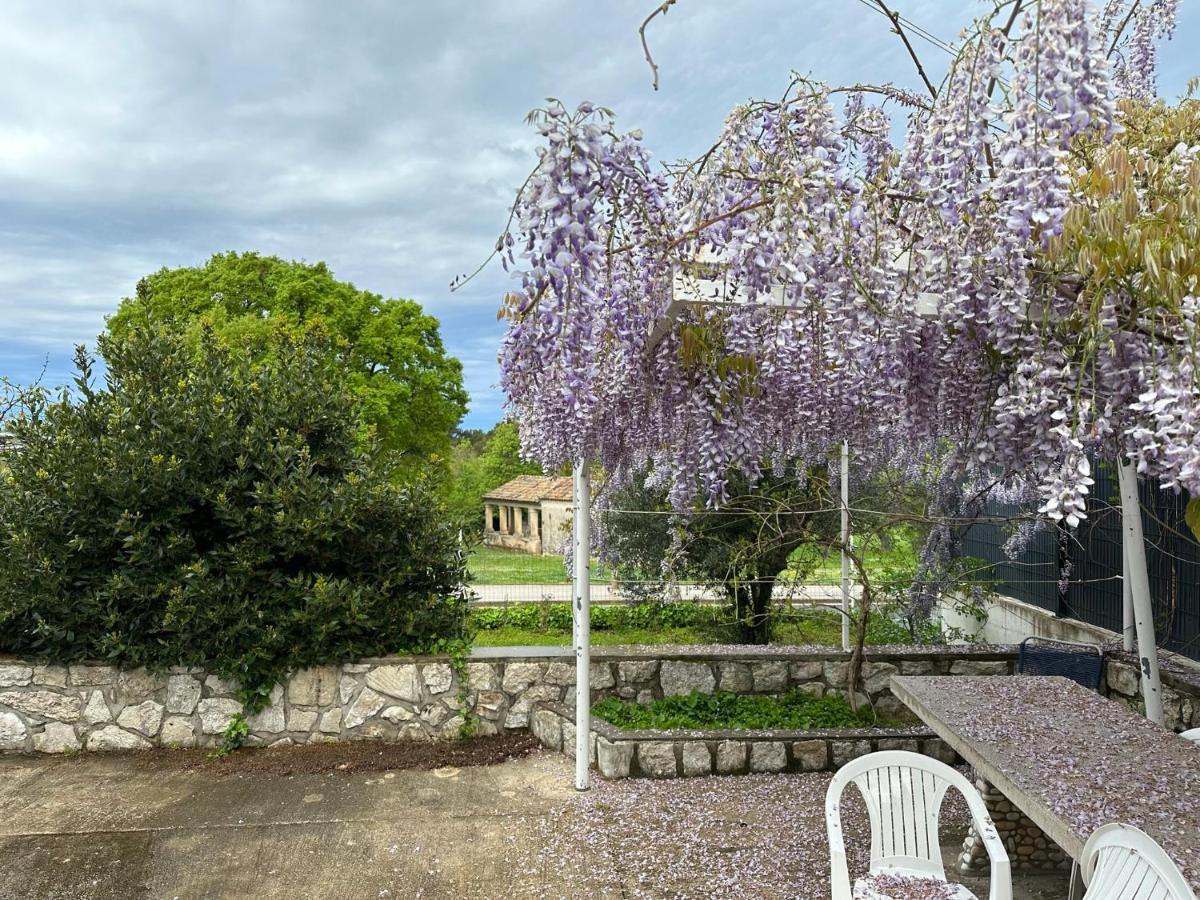 Vala Apartments Rovinj Exterior photo